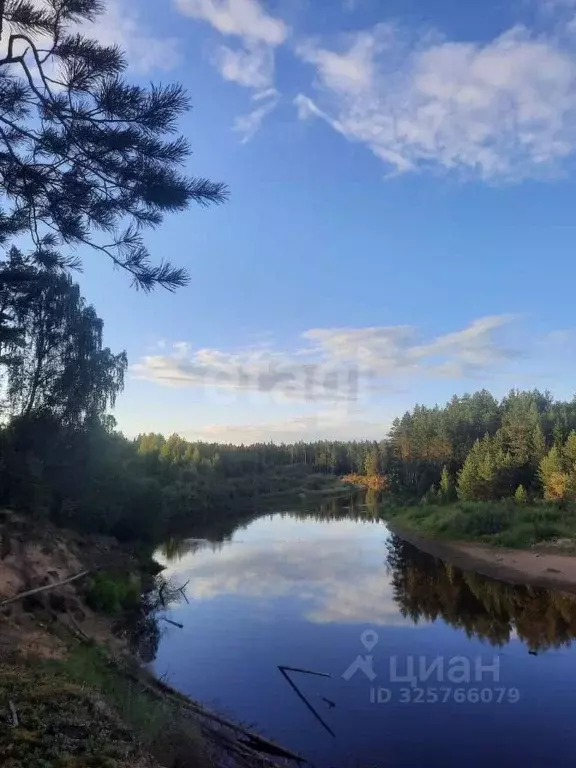 Участок в Вологодская область, Кадуйский муниципальный округ, д. Уйта  ... - Фото 1