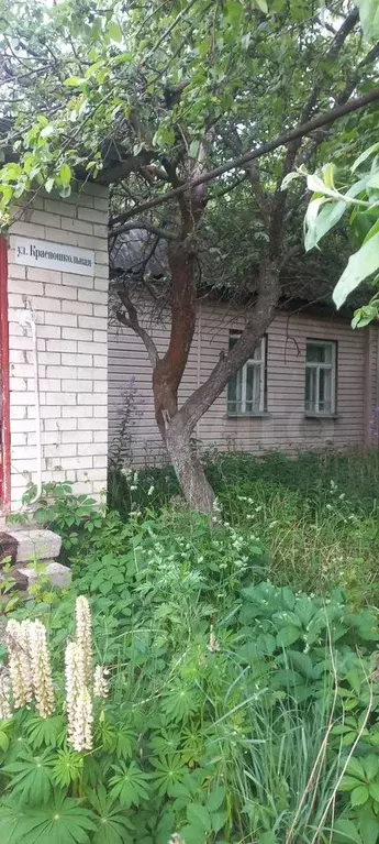 Дом 35 м на участке 19,5 сот. - Фото 0