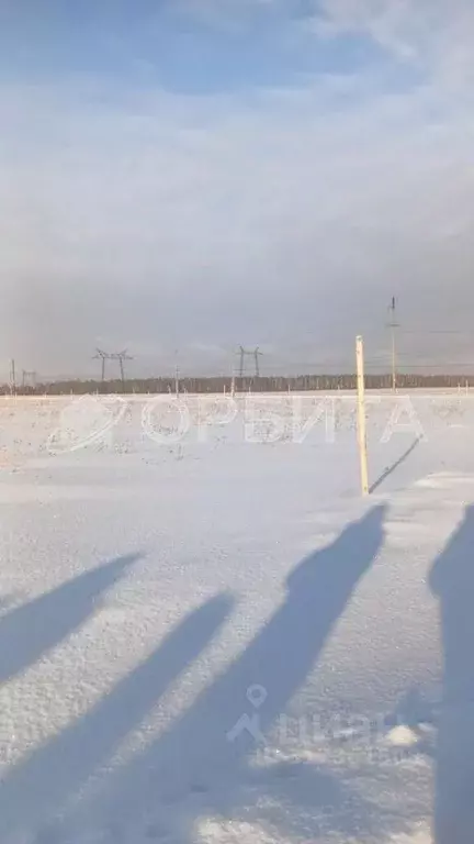 Участок в Тюменская область, Тюменский район, Серебряный бор ТСН ул. ... - Фото 0