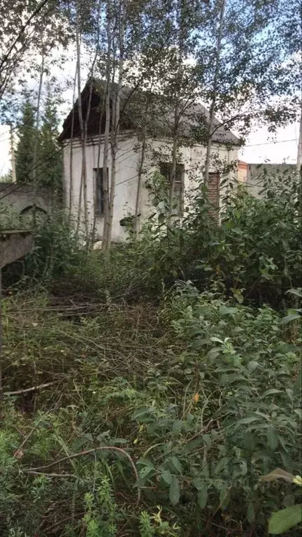 Помещение свободного назначения в Московская область, Ступино ул. ... - Фото 0