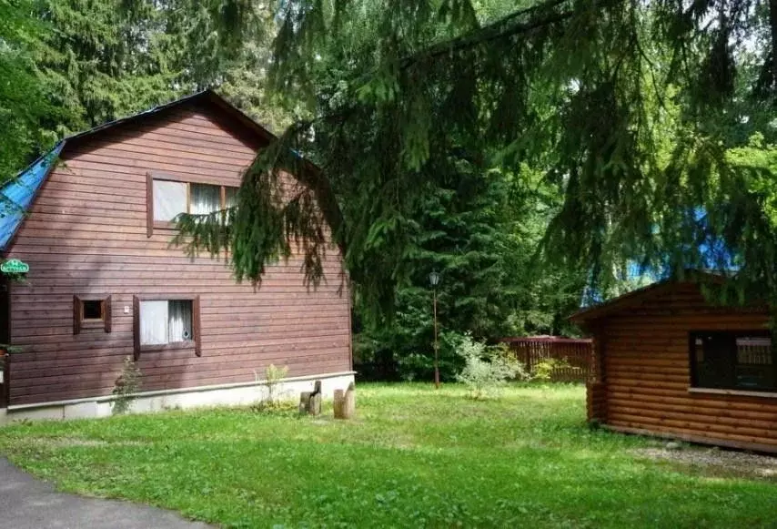 Дом в Московская область, Одинцовский городской округ, пос. Дома ... - Фото 1