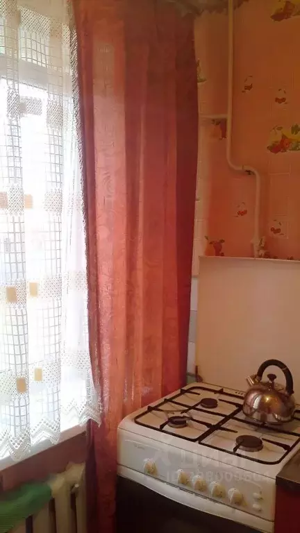 1-к кв. Тульская область, Суворов Садовая ул., 12 (22.0 м) - Фото 1