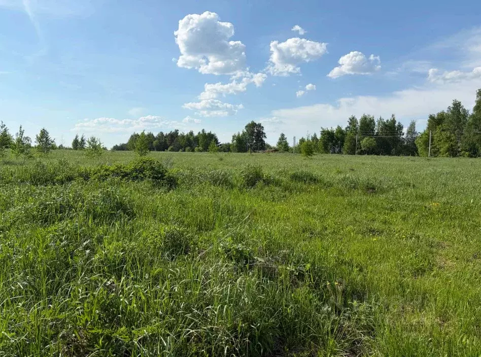 Участок в Московская область, Кашира городской округ, д. Колтово  ... - Фото 1