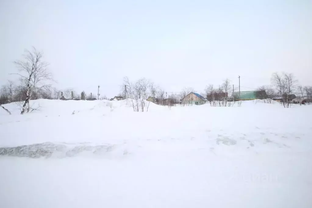 Участок в Ямало-Ненецкий АО, Новый Уренгой Лира ДНТ,  (6.14 сот.) - Фото 1