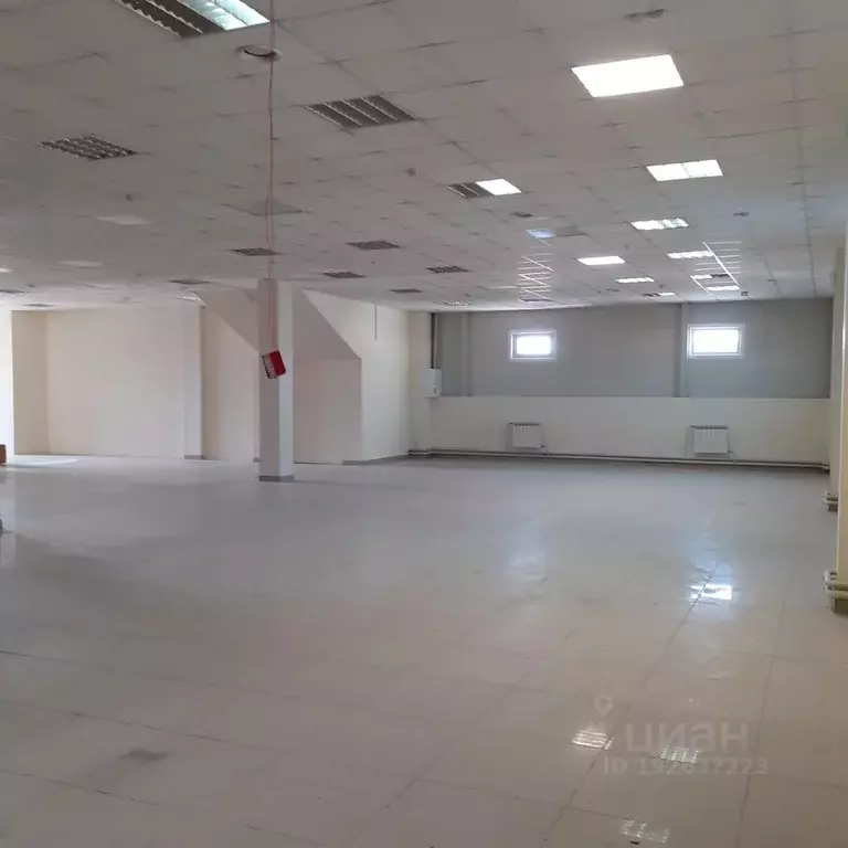 Помещение свободного назначения в Алтайский край, Барнаул ... - Фото 2