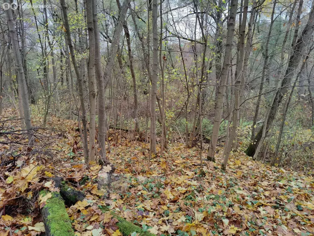 Участок в Гаврилково, СНТ Пойма (14 м) - Фото 2