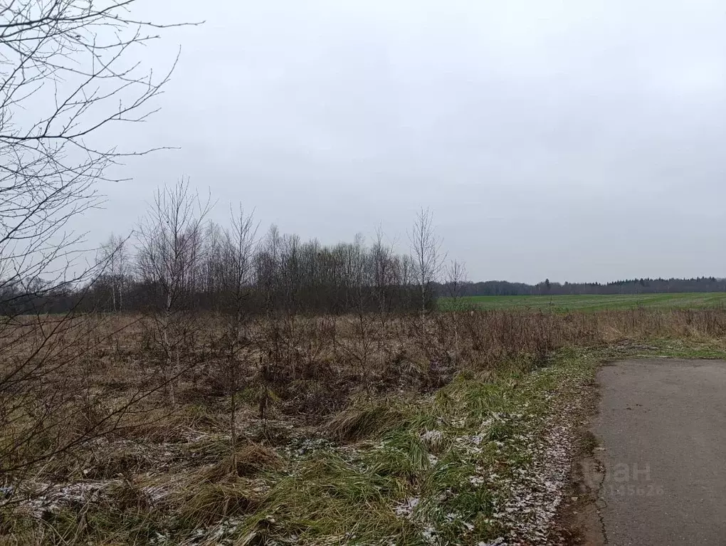 Участок в Московская область, Можайский городской округ, д. Малое ... - Фото 0