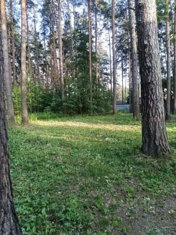 Участок в Свердловская область, Екатеринбург Исток СНТ, 195 (12.02 ... - Фото 0