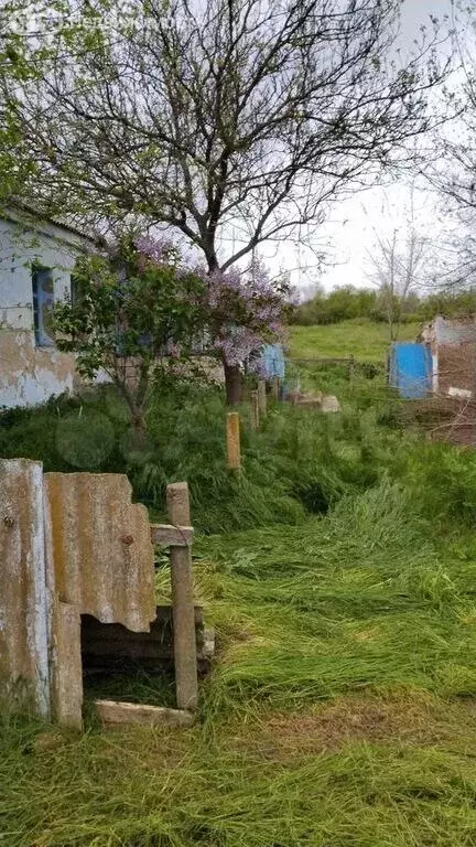 Участок в село Новониколаевка, улица Бондаренко, 4 (25 м) - Фото 1