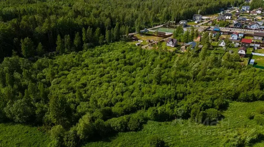 Участок в Ленинградская область, Всеволожский район, Колтушское ... - Фото 0