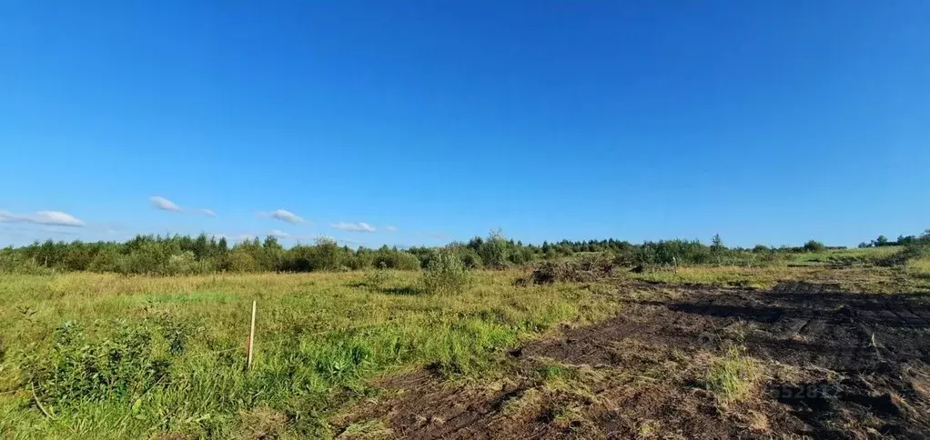 Участок в Томская область, Томский район, с. Корнилово ул. Жирова (8.0 ... - Фото 1