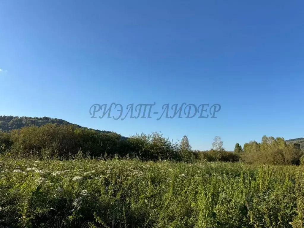 Участок в Алтай, Майминский район, с. Кызыл-Озек ул. Напалковой (10.0 ... - Фото 2