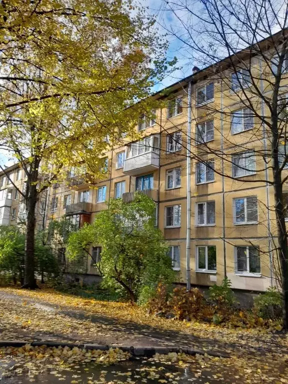 3-к кв. Санкт-Петербург ул. Замшина, 38 (48.0 м) - Фото 2