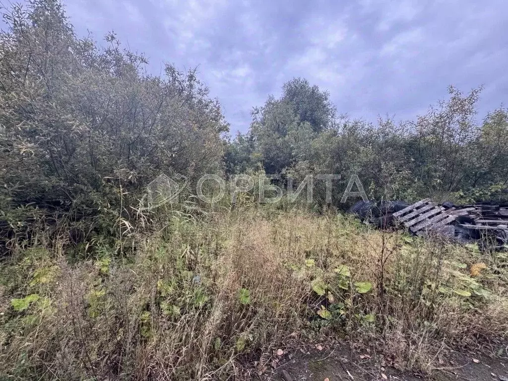 Участок в Тюменская область, Тюмень ул. Космонавтов, 45 (14.0 сот.) - Фото 0