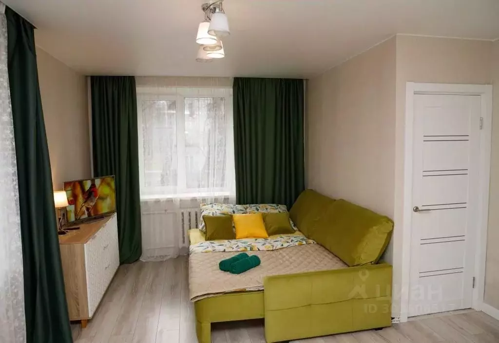 1-к кв. Московская область, Пушкино Московский просп., 34 (32.0 м) - Фото 1