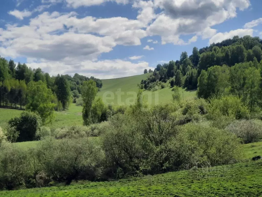 Участок в Алтайский край, Алтайский район, с. Сараса Новая ул. (230.0 ... - Фото 1