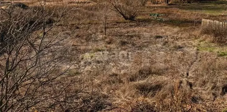 Участок 12 сот. (ИЖС) - Фото 0