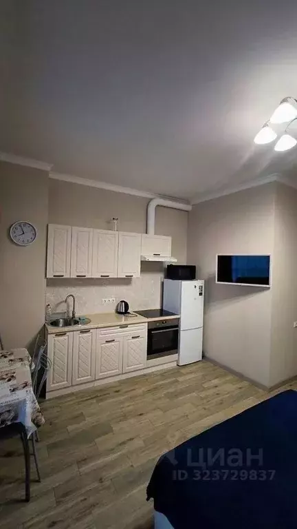 Студия Краснодарский край, Сочи ул. Гастелло, 28к2 (28.0 м) - Фото 2