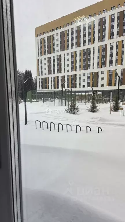 Студия Коми, Сыктывкар Петрозаводская ул., 43 (25.0 м) - Фото 2