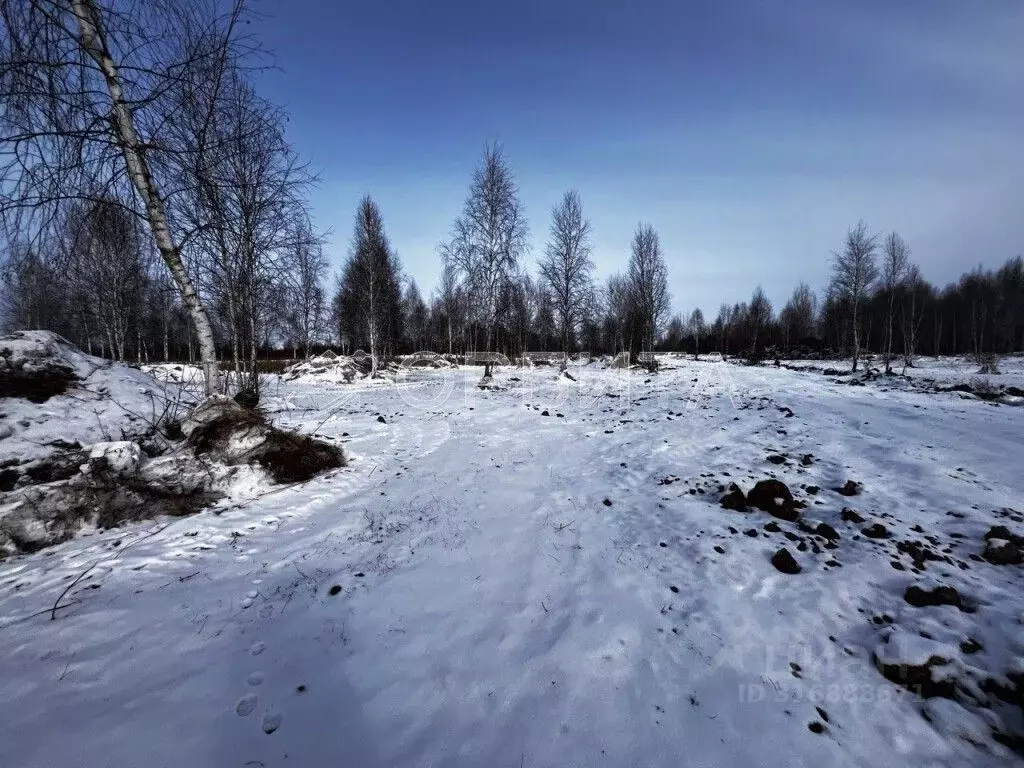 Участок в Тюменская область, Нижнетавдинский район, Тюневское с/пос, ... - Фото 0