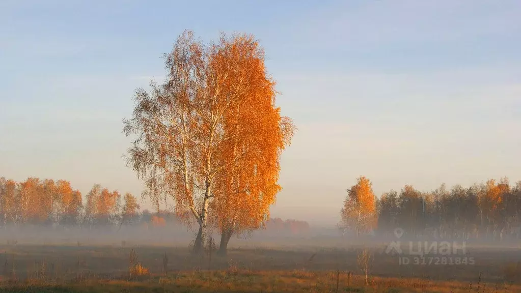 Участок в Челябинская область, Еманжелинский муниципальный округ, ... - Фото 2