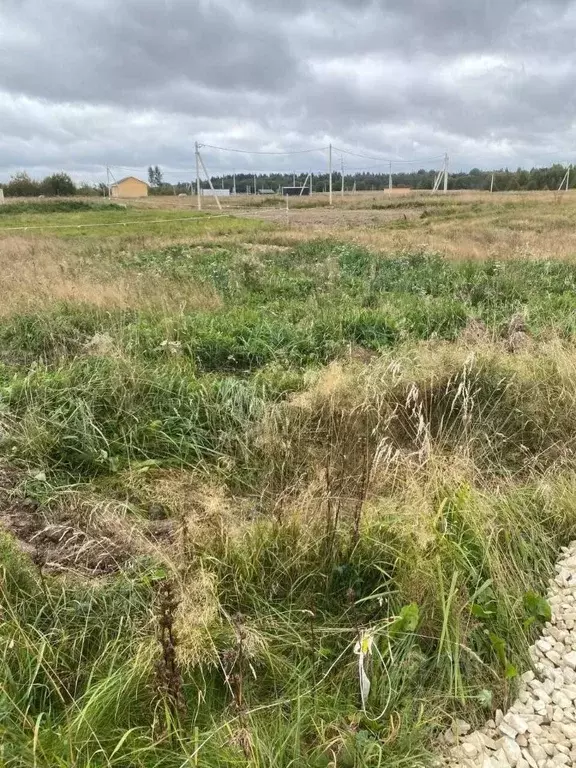 Участок в Ленинградская область, Ломоносовский район, Лопухинское ... - Фото 2