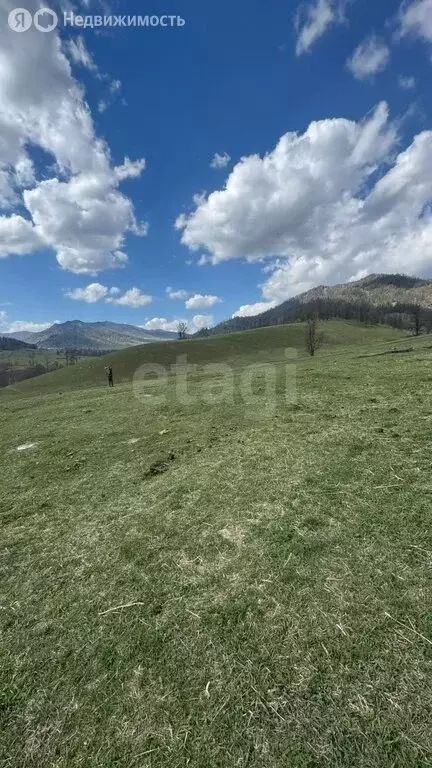 Участок в Шебалинский район, село Верх-Апшуяхта (95.25 м) - Фото 2