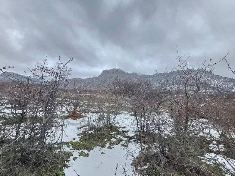 Участок в Крым, Алушта муниципальный округ, с. Лучистое ул. Имени Ю. ... - Фото 2