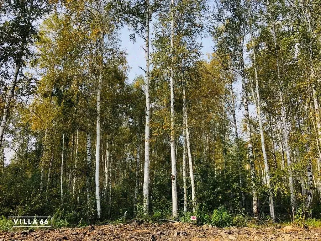 Участок в Свердловская область, Сысертский городской округ, пос. ... - Фото 0