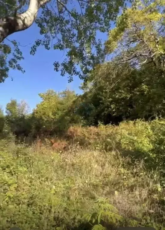 Участок в Краснодарский край, Туапсинский муниципальный округ, с. ... - Фото 1