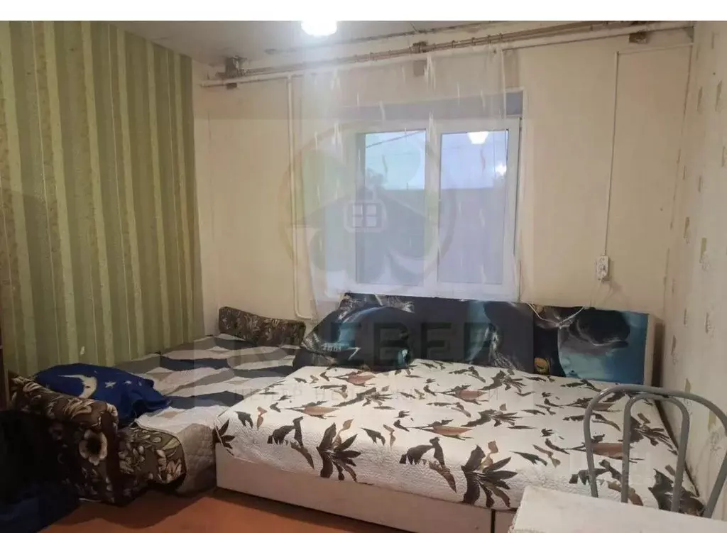 Студия Башкортостан, Кушнаренковский сельсовет, с. Кушнаренково ул. ... - Фото 1