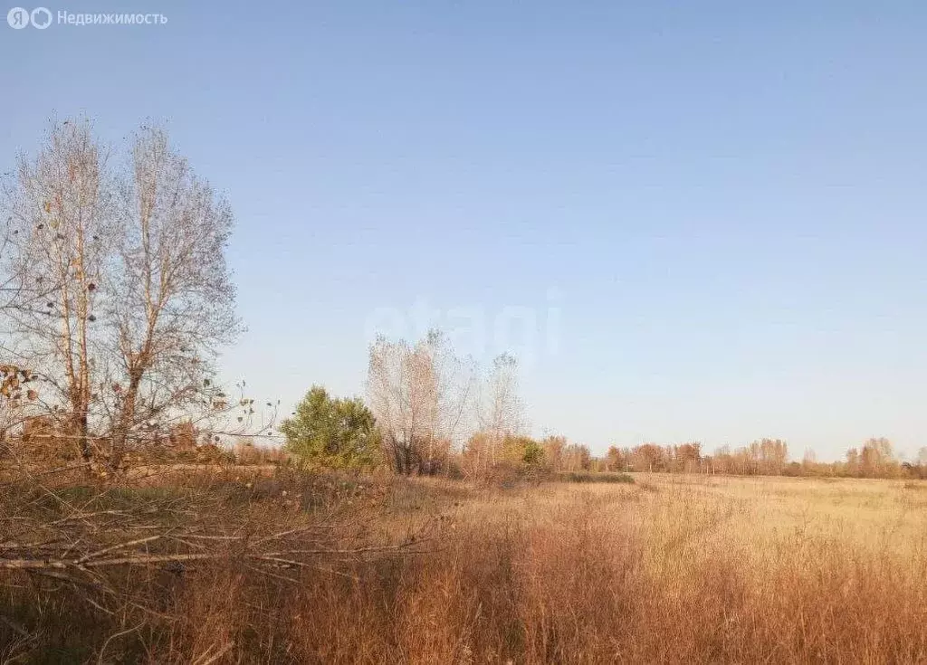 Участок в Красноярский край, Минусинский муниципальный округ, посёлок ... - Фото 1