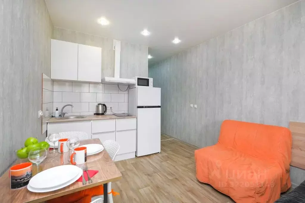 Студия Новосибирская область, Новосибирск ул. Забалуева, 92 (27.0 м) - Фото 1