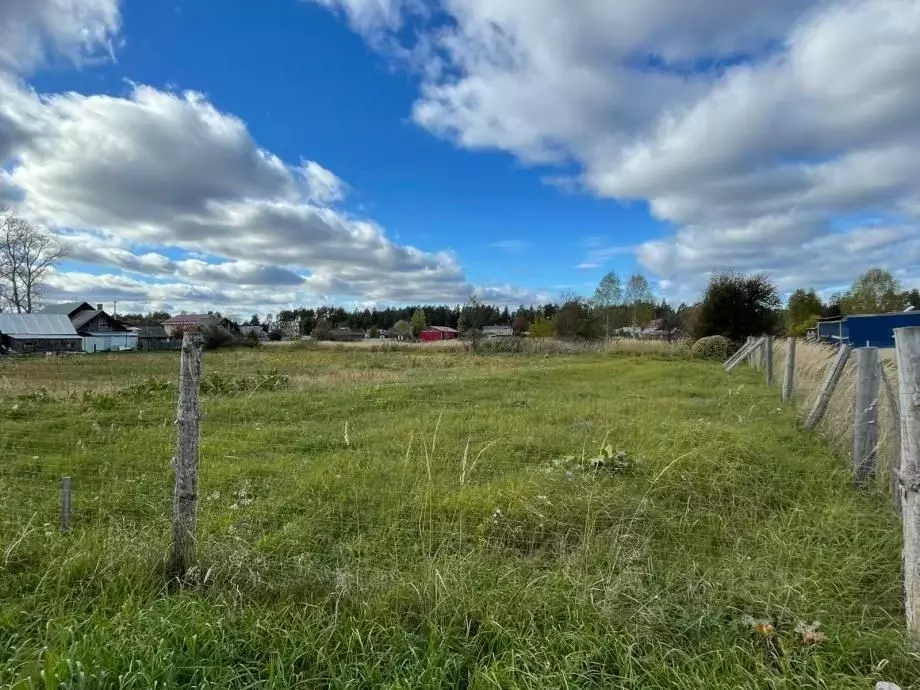 Участок в Марий Эл, Волжский район, с. Помары ул. Лесная (10.0 сот.) - Фото 2