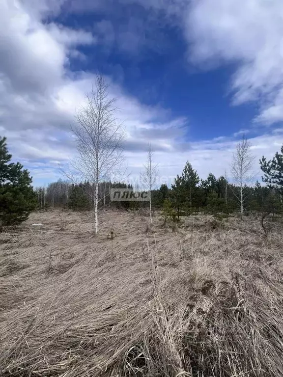 Участок в Липецкая область, Задонский муниципальный округ, с. Казино  ... - Фото 2