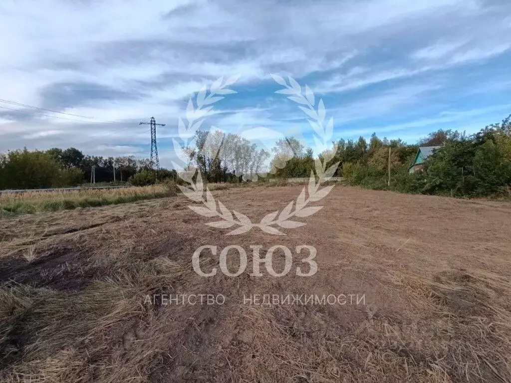 Участок в Калужская область, Бабынинский муниципальный округ, ... - Фото 2