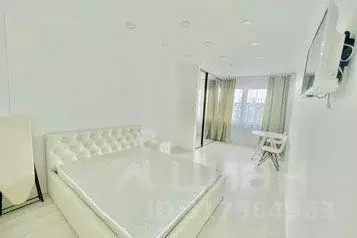 1-к кв. Краснодарский край, Сочи ул. Ленина, 298б (30.0 м) - Фото 0