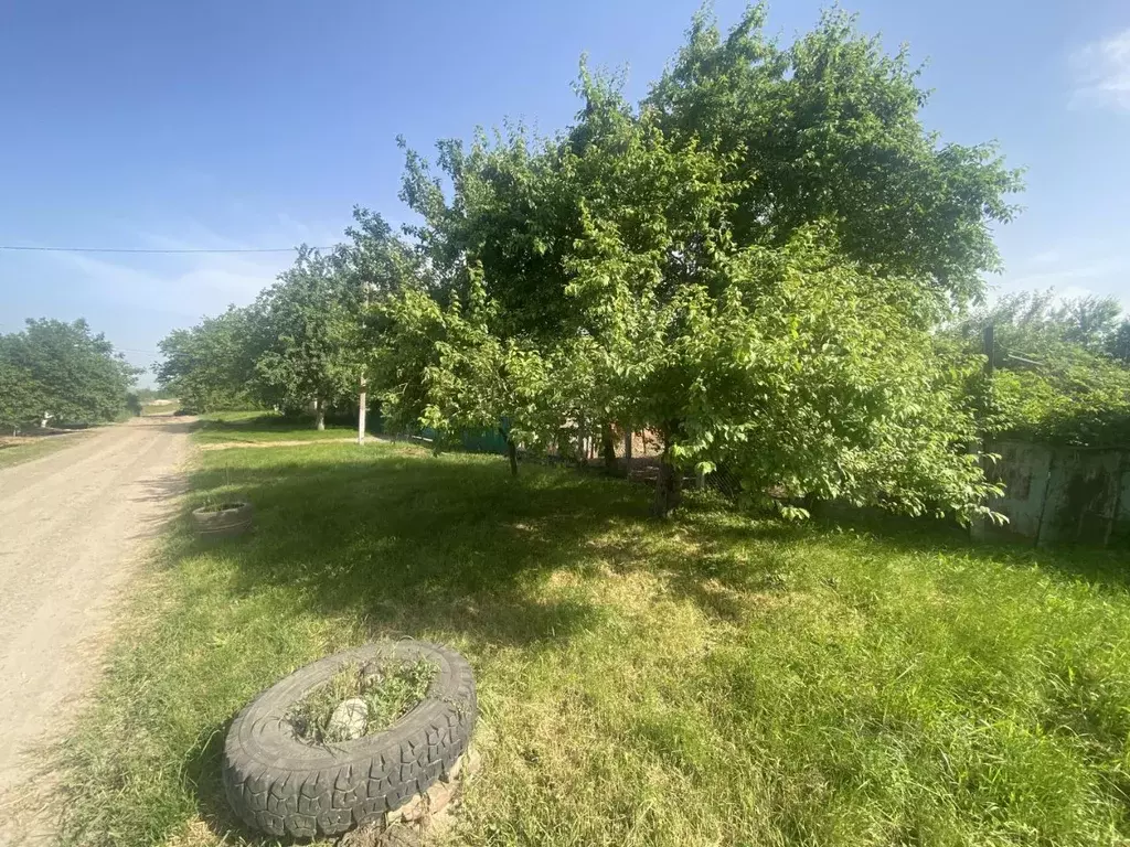 Участок в Краснодарский край, Успенский район, с. Вольное ... - Фото 2