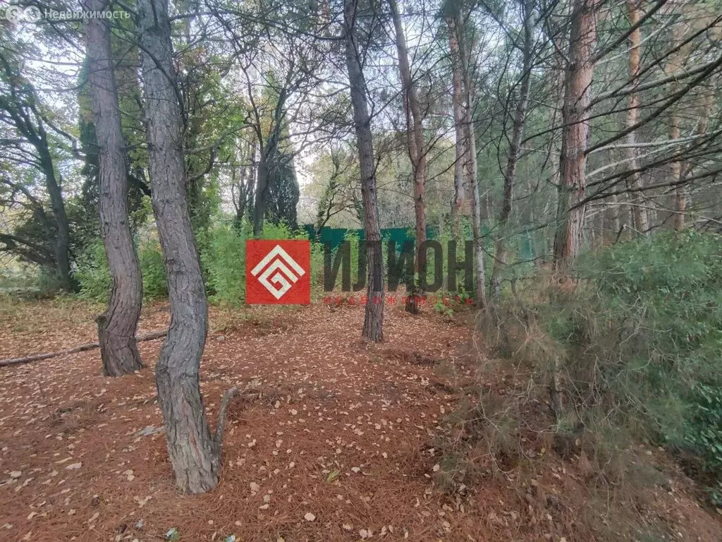 Участок в Отрадное, Днепровская улица (10 м) - Фото 2