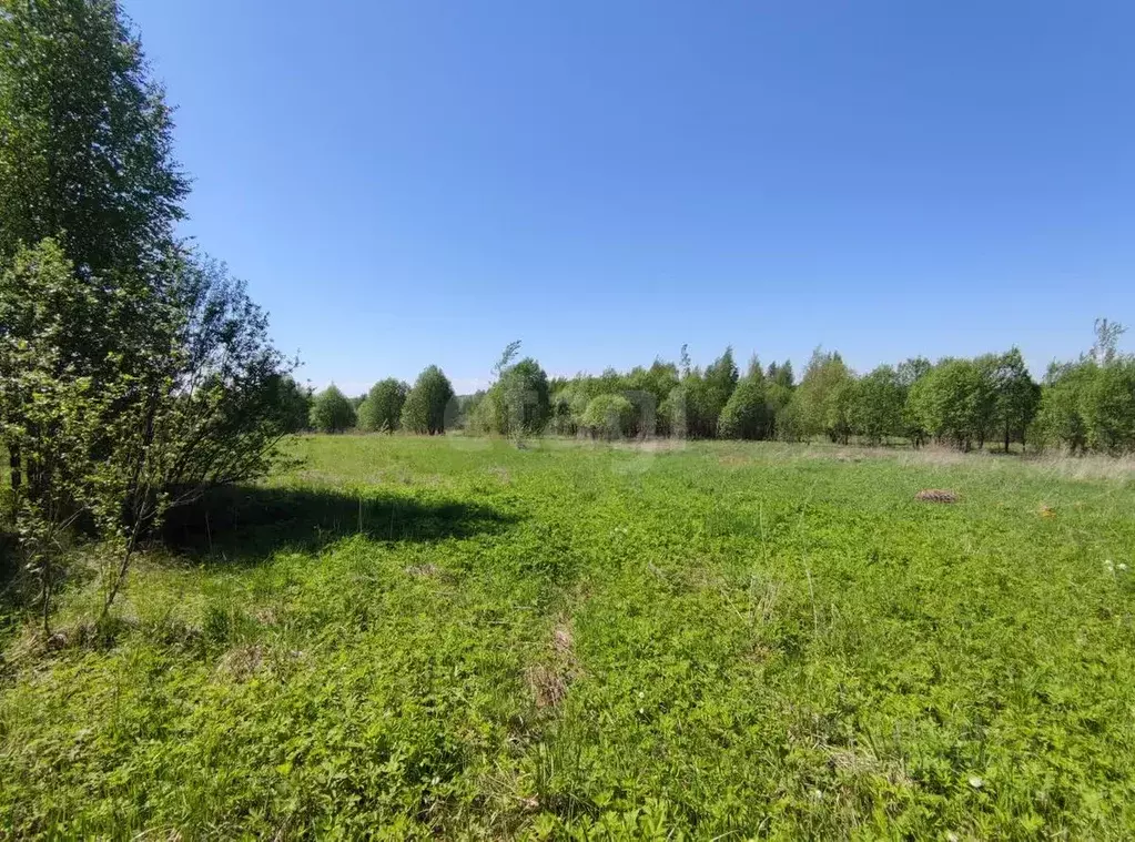 Участок в Вологодская область, Кирилловский муниципальный округ, д. ... - Фото 1