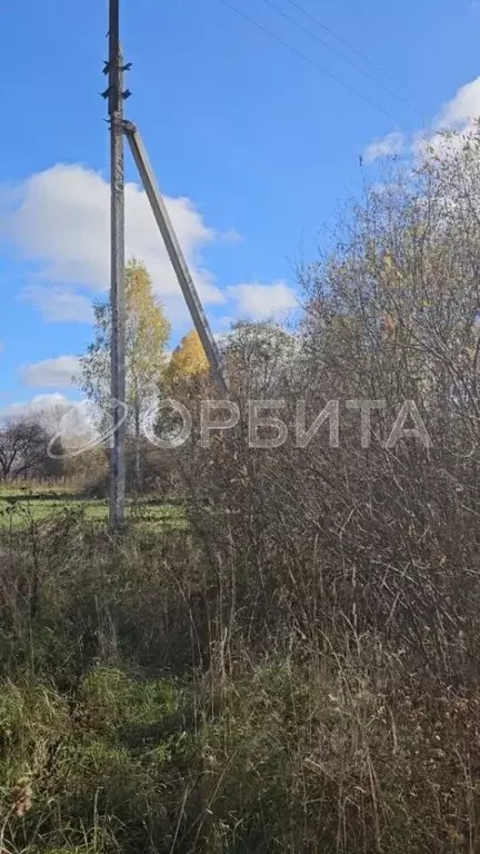 Участок в Свердловская область, Тугулымский муниципальный округ, с. ... - Фото 2
