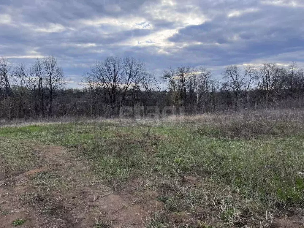 Участок в Белгородская область, Белгородский район, Дубовское с/пос, ... - Фото 2