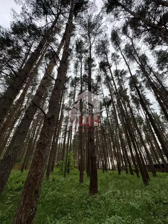 Участок в Тверская область, Конаковский муниципальный округ, д. ... - Фото 2