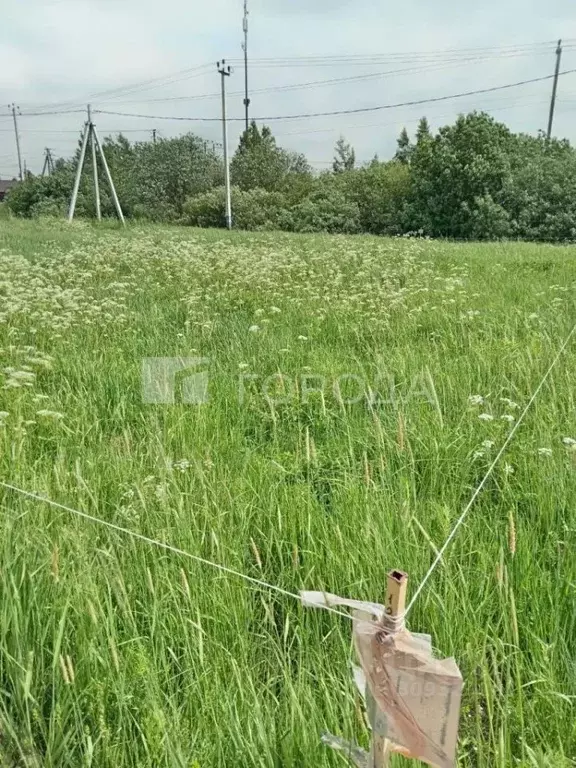 Участок в Московская область, Раменский городской округ, 30383 кв-л  ... - Фото 1