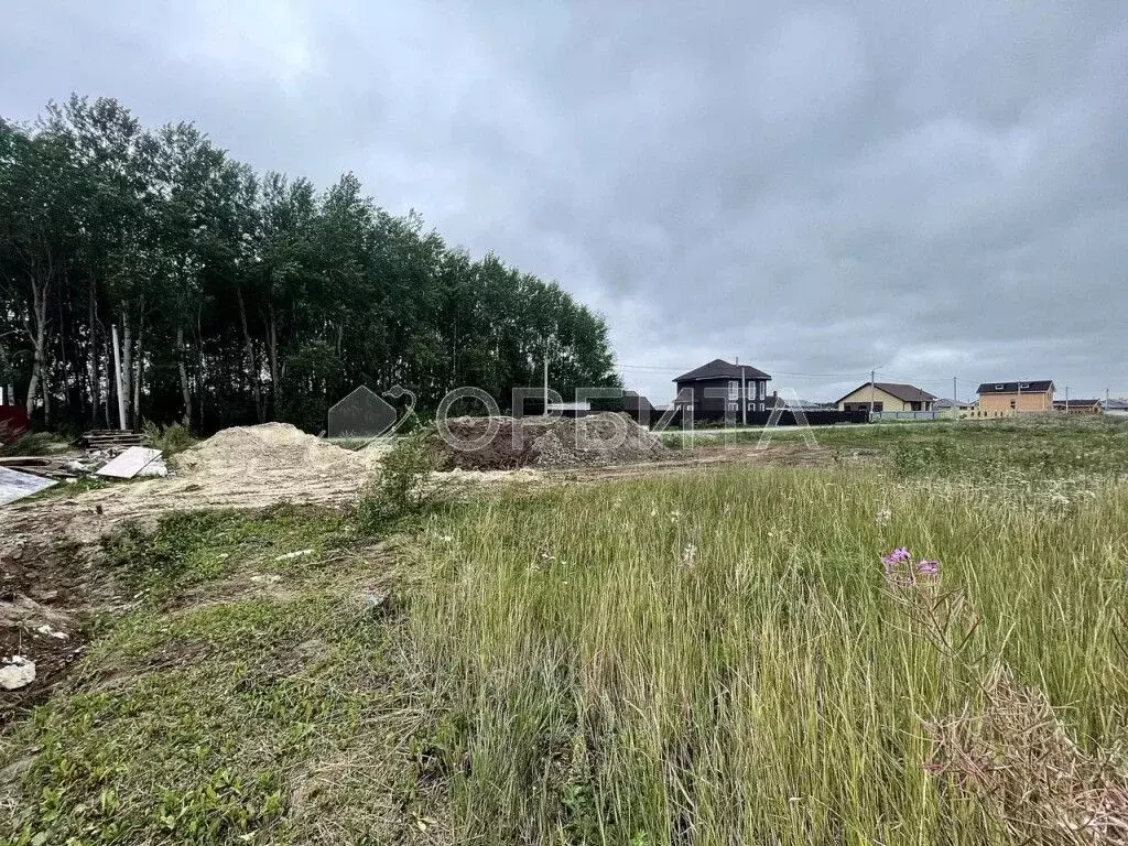 Участок в Тюменская область, Тюменский муниципальный округ, с. Кулига  ... - Фото 2