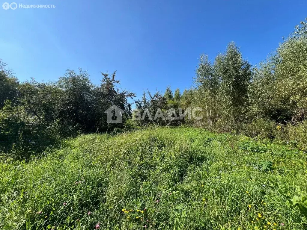 Участок в Луховицы, садовое товарищество Август-91 (6 м) - Фото 1