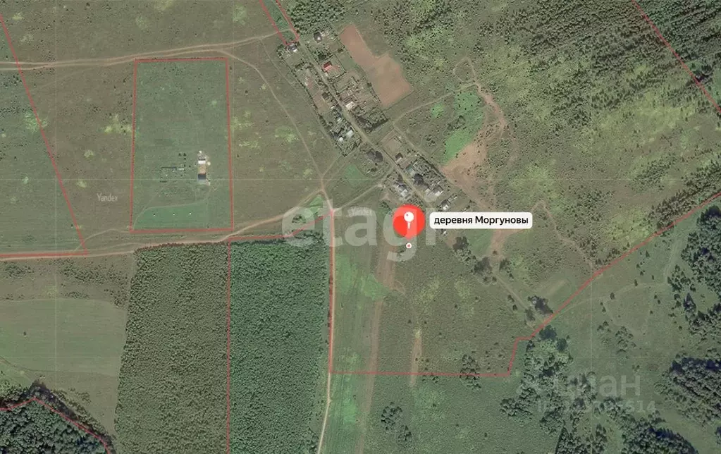 Участок в Кировская область, Слободской район, Шиховское с/пос, д. ... - Фото 2