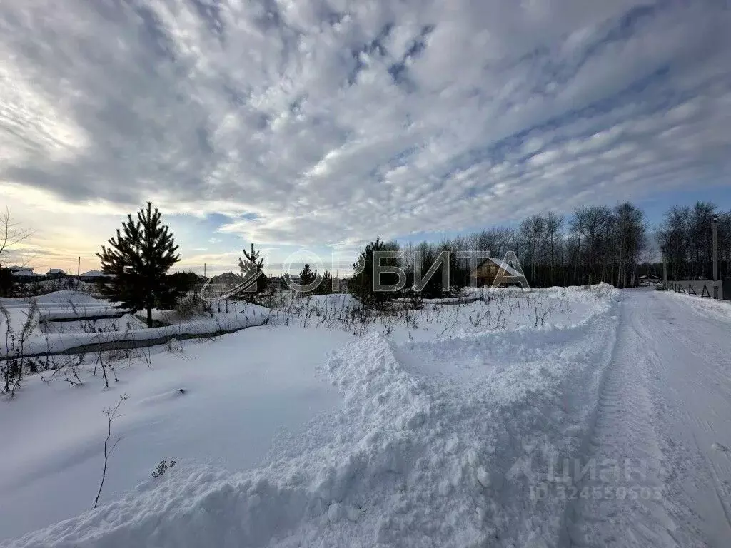 Участок в Тюменская область, Тюменский муниципальный округ, Соловьиная ... - Фото 1