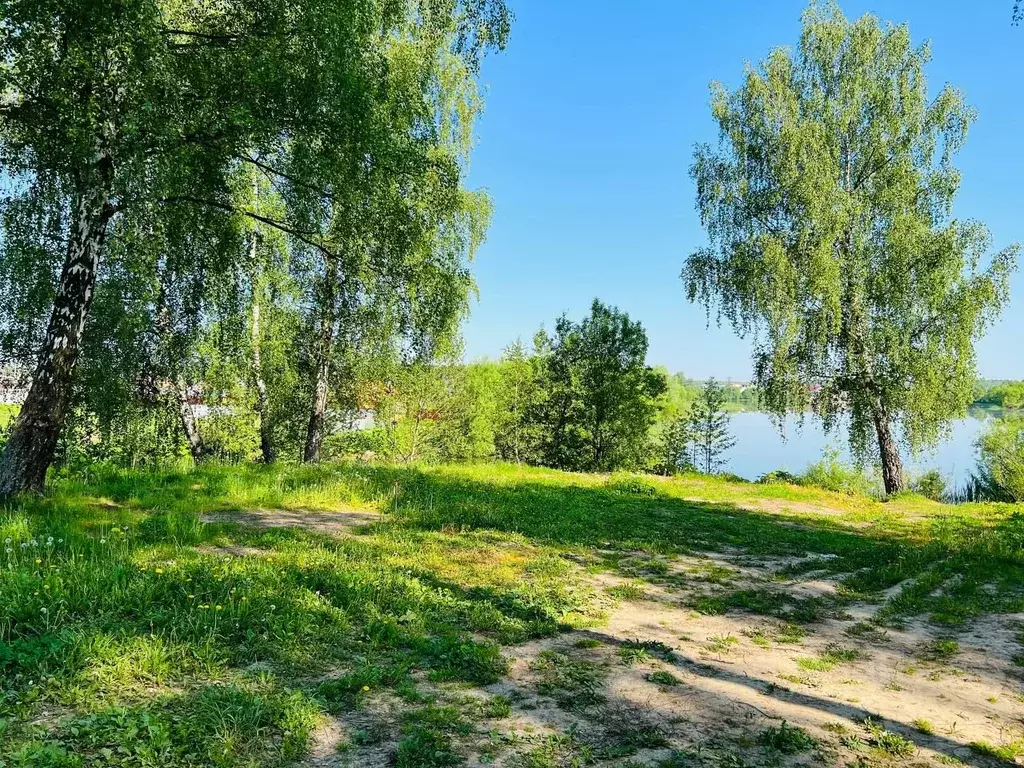 Участок в Московская область, Домодедово городской округ, д. Минаево, ... - Фото 1