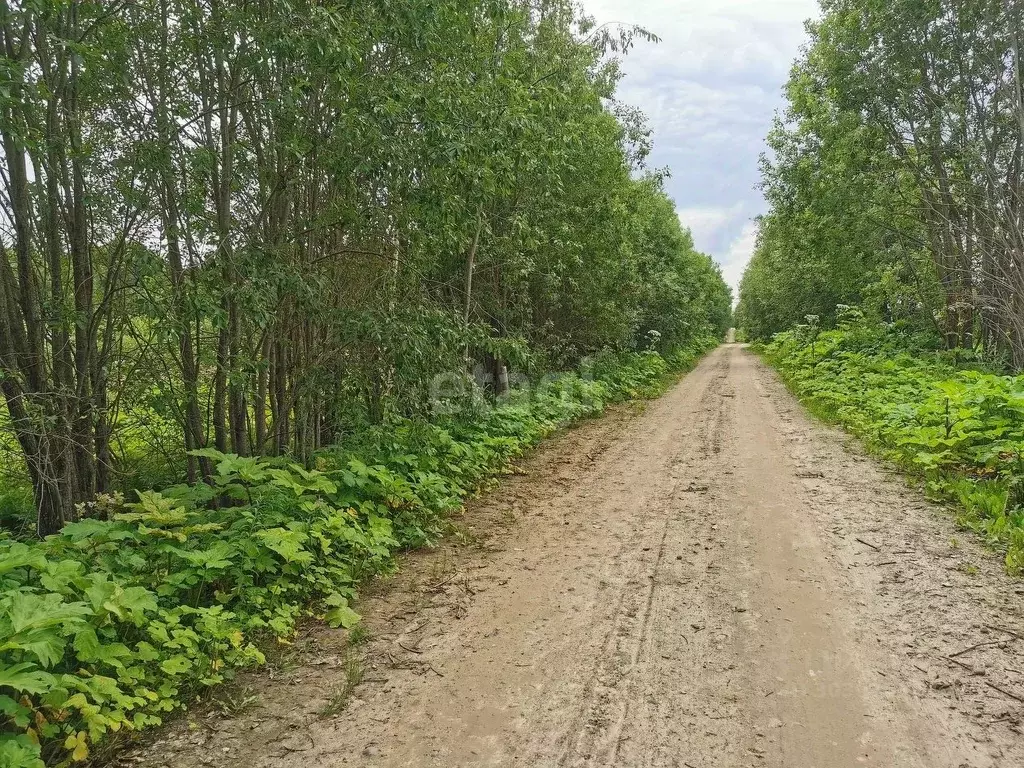 участок в коми, сыктывдинский район, с. выльгорт (12.1 сот.) - Фото 1